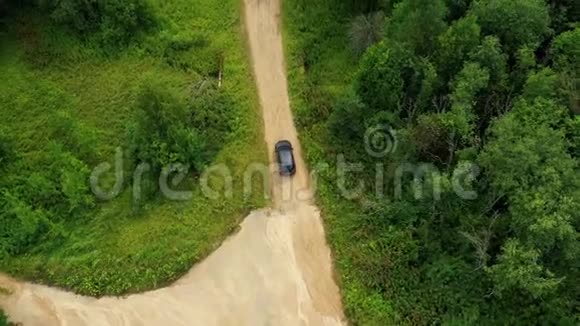 汽车在森林里的道路上行驶视频的预览图