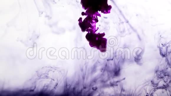 紫墨在水中隔绝视频的预览图