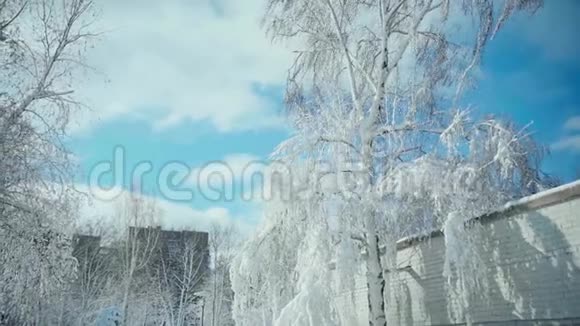 寒冷的雪冬在城市视频的预览图