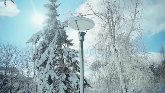 寒冷的雪冬在城市视频的预览图