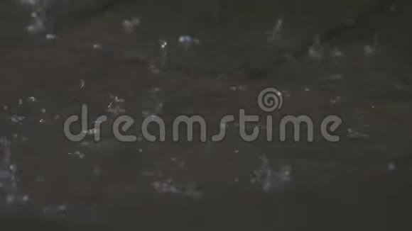 雨落在水坑里视频的预览图