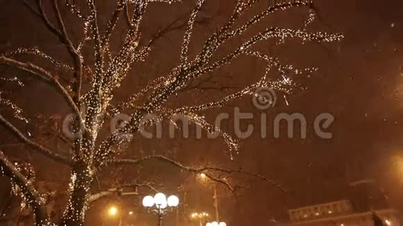 雪城树上明亮的灯光视频的预览图