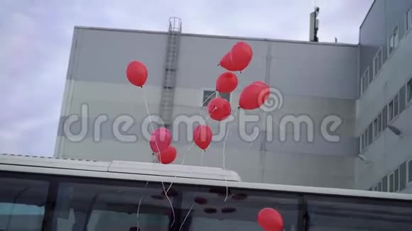 红色气球在飞视频的预览图