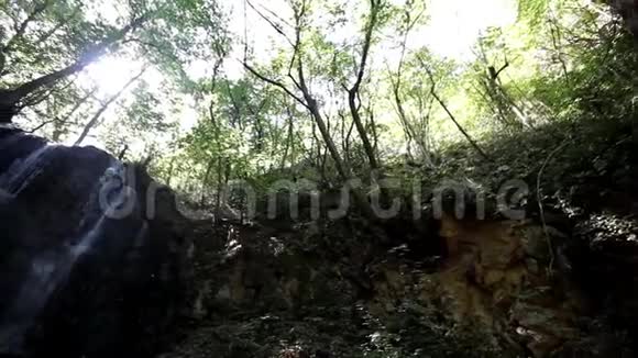 森林中的天然瀑布视频的预览图