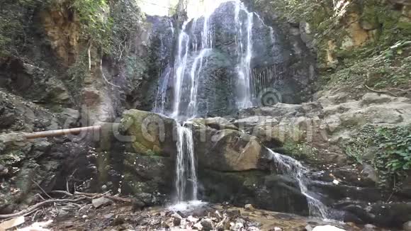森林中的天然瀑布视频的预览图