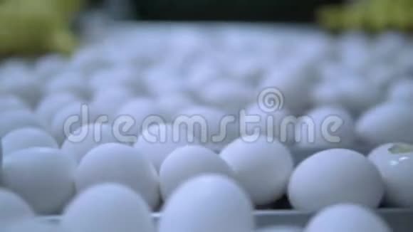 产蛋b卷视频的预览图