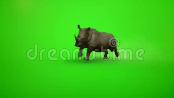 扎布拉扎拉法大象犀牛在绿屏上奔跑视频的预览图