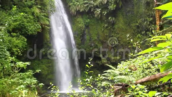 瀑布在琥珀山公园马达加斯加视频的预览图