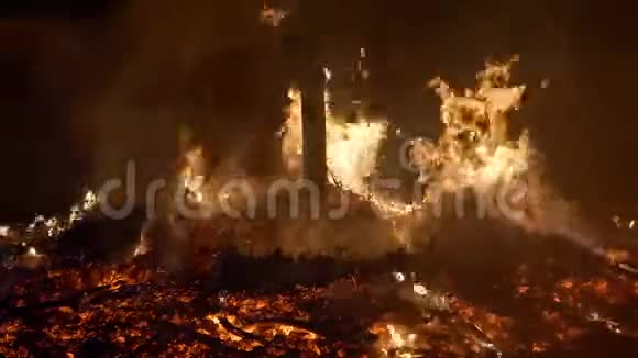 森林火烧树视频的预览图
