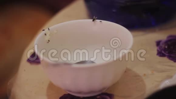 脏碗和房子苍蝇视频的预览图