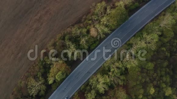道路空旷的秋林视频的预览图