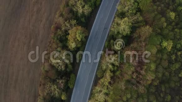 道路空旷的秋林视频的预览图