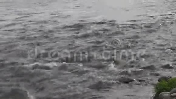 伊巴尔河的速度视频的预览图
