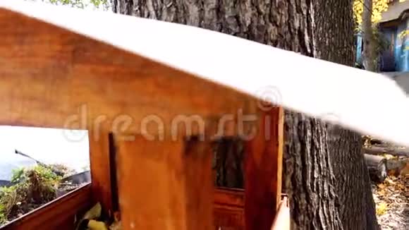 森林里的木制饲养器视频的预览图
