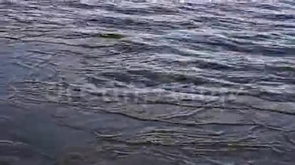 河流被薄冰覆盖视频的预览图