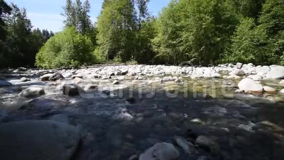 水流过林恩溪2视频的预览图