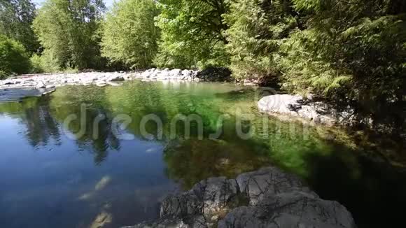 林恩峡谷30英尺的游泳池2视频的预览图