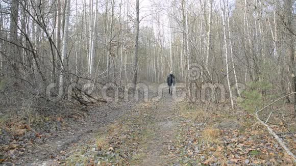 徒步旅行在秋天的森林视频的预览图