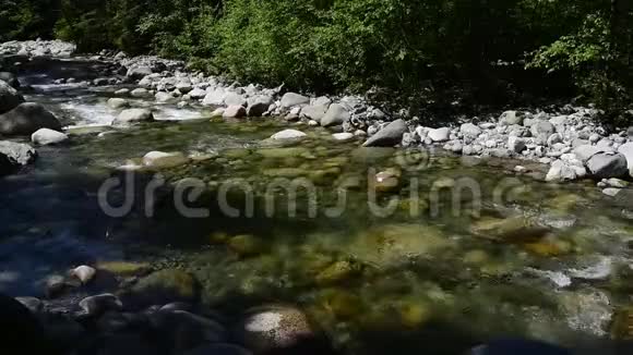 水流过林恩溪8视频的预览图