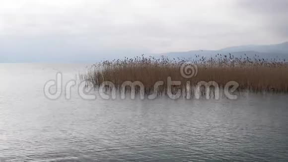 湖面上的波浪在慢慢移动视频的预览图