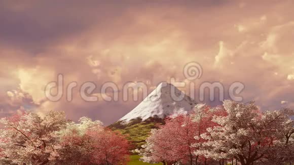 富士山日落或日出4K樱花视频的预览图