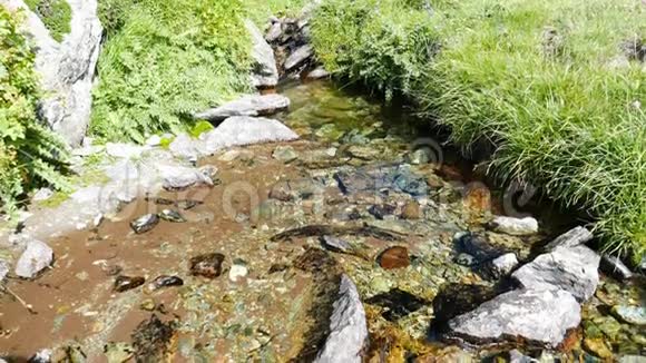 夏天在田园诗般的无污染环境中流淌的小溪流穿过意大利阿尔卑斯山上的绿色草地视频的预览图