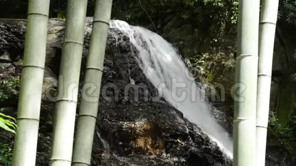 竹子后面的瀑布视频的预览图