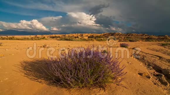 沙漠中的云带着花亚利桑那州视频的预览图