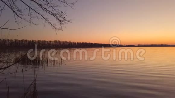 宁静的湖面上的夏日夕阳视频的预览图