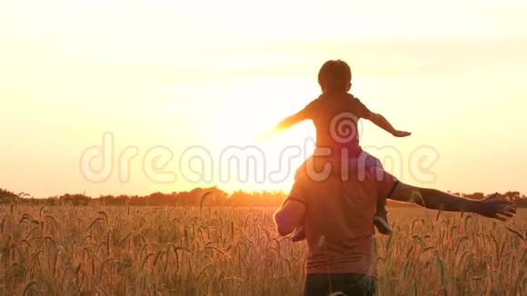 日落时父亲把儿子扛在肩上穿过麦田日落时分幸福家庭的剪影这就是视频的预览图