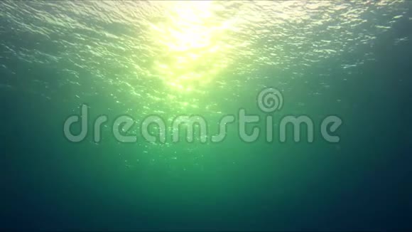 阳光来自水下视频的预览图