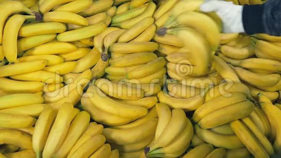香蕉手工翻成一堆视频的预览图