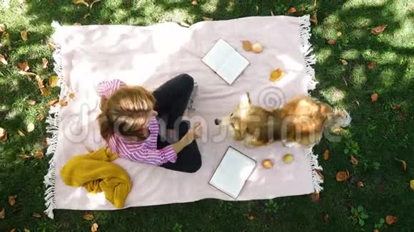 带着科吉狗在公园休息的女孩视频的预览图