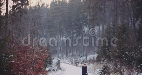 冬天在树林里散步的游客视频的预览图