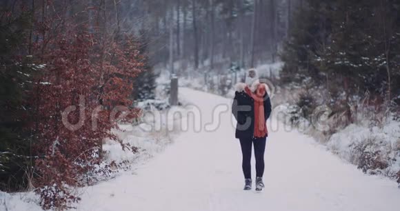 冬天在树林里散步的游客视频的预览图
