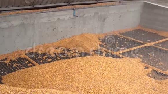 玉米装卸仓库视频的预览图
