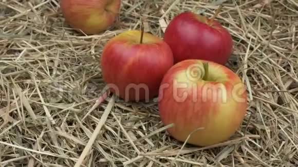 干草上熟的红苹果视频的预览图
