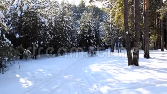 冬天森林里的雪地摩托视频的预览图