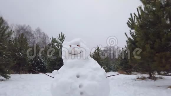 冬天公园里有趣的雪人视频的预览图