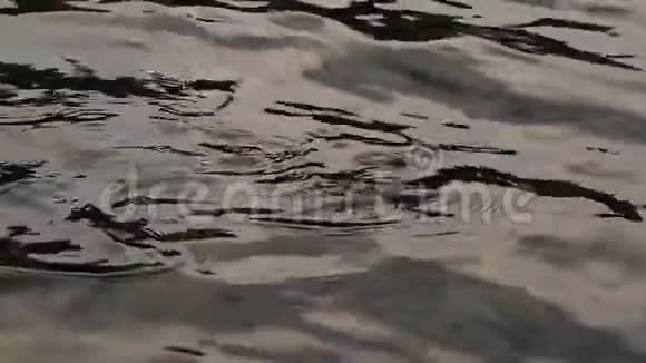 有光泽的水面底部有石头水面有波纹河流水面慢动作视频的预览图