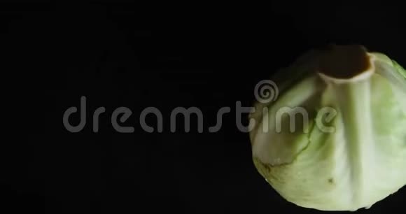 一叉新鲜的绿色卷心菜视频的预览图