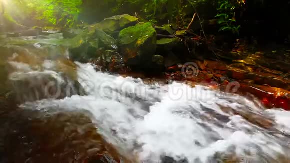 山林中的山涧视频的预览图