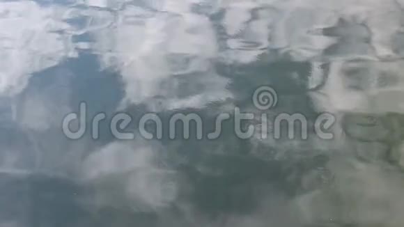 荡漾的水面视频的预览图
