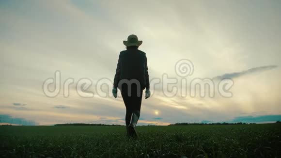 剪影年轻漂亮的女农民戴着帽子在田野日落概念秋收耕种视频的预览图