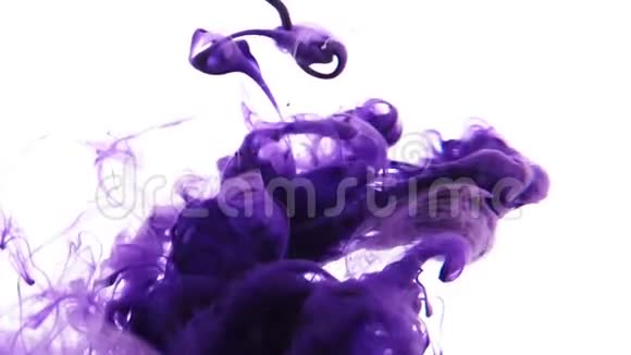 紫色墨水在水下视频的预览图