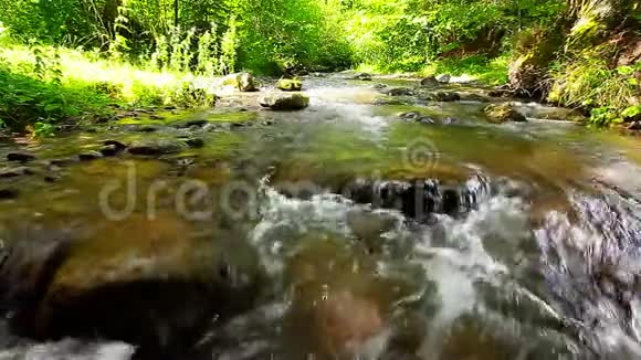 山林中的山涧视频的预览图