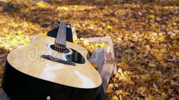 吉他躺在森林的黄叶上黄叶落在吉他上秋林视频的预览图