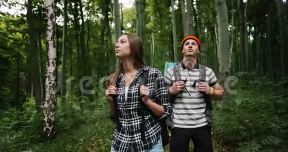 令人惊叹的森林游客视频的预览图