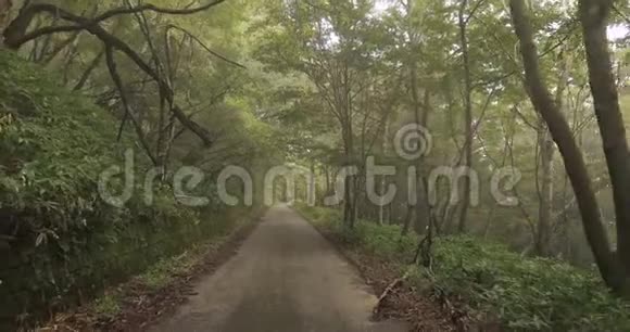雾林路步行视频的预览图