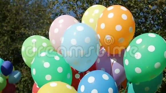 五颜六色的充气氦气气球包裹中的圆点正在从树上飞下来视频的预览图